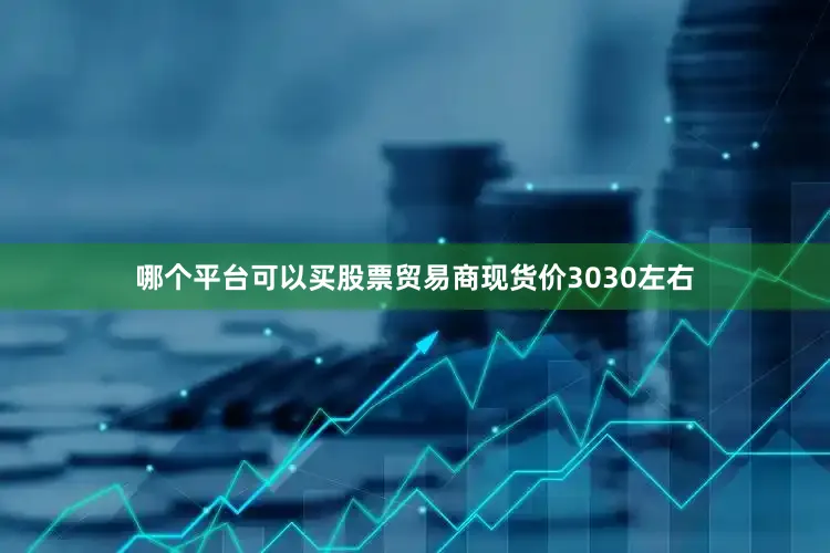 哪个平台可以买股票贸易商现货价3030左右