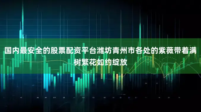 国内最安全的股票配资平台潍坊青州市各处的紫薇带着满树繁花如约绽放