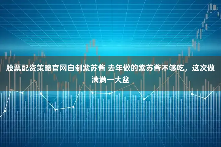 股票配资策略官网自制紫苏酱 去年做的紫苏酱不够吃，这次做满满一大盆