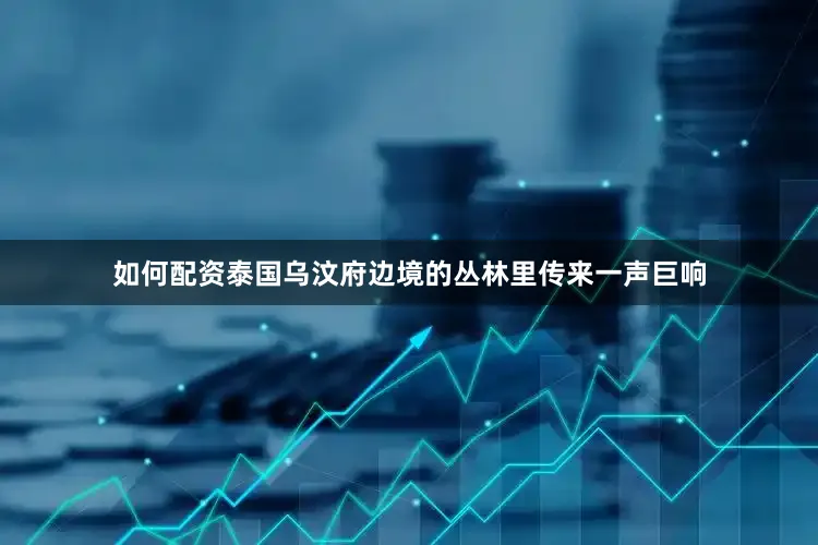 如何配资泰国乌汶府边境的丛林里传来一声巨响